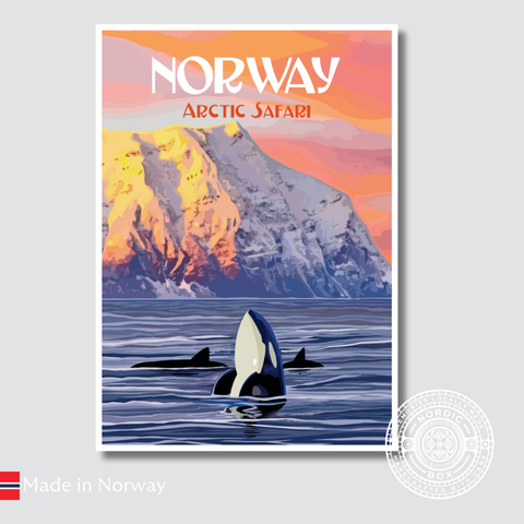 Single Magnet Killer Whale